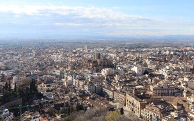 Ojeras: La Cartografía del Cansancio en el Rostro